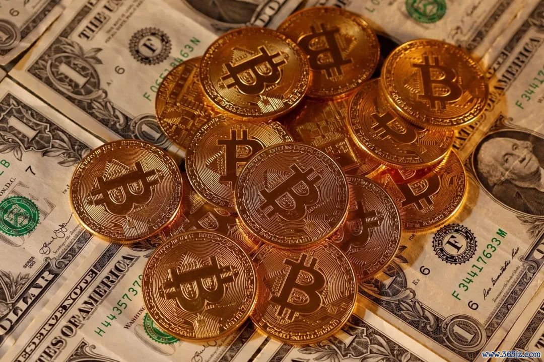 区块链加密钱包_token钱包官方版的数字资产流通机制，探讨其在加密市场生态中的重要性。_钱包生态平台